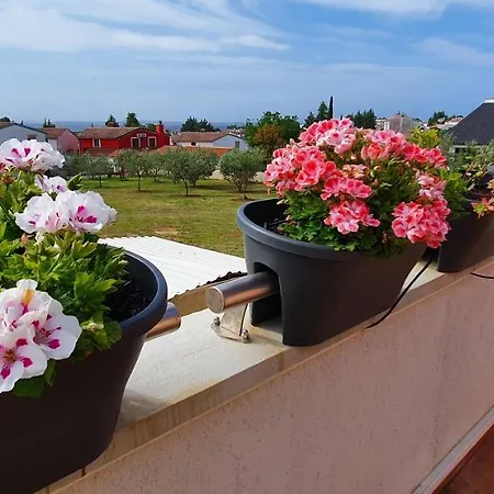 度假居 Elysian Homestay Betiga *