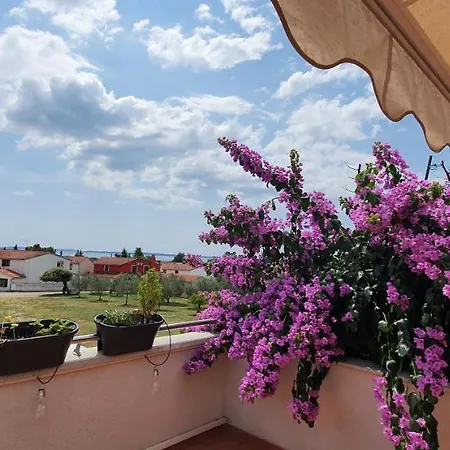 Elysian Homestay Betiga 度假居