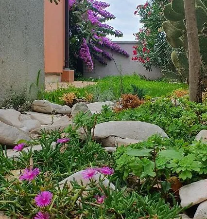 Elysian Homestay Betiga