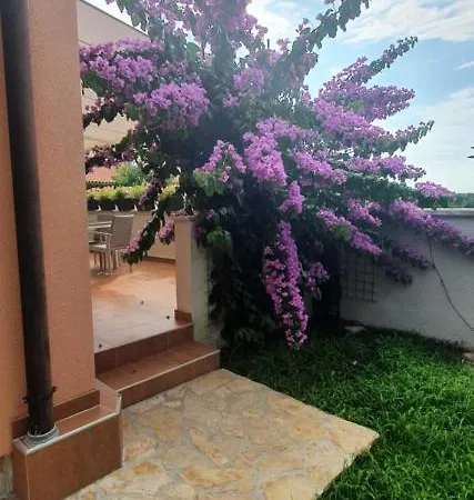 Elysian Homestay Betiga Barbariga
